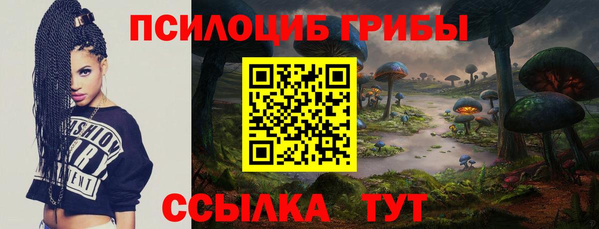 Псилоцибиновые грибы Cubensis Пугачёв