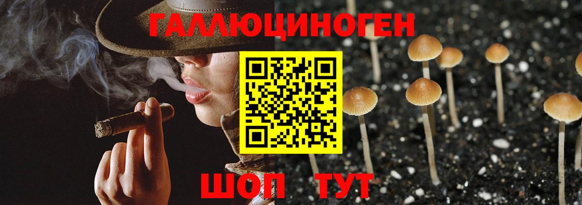 Пугачёв  Псилоцибиновые грибы мухоморы  Вход с VPN 