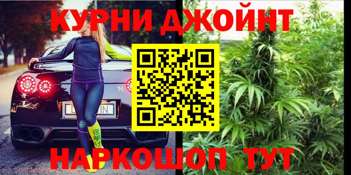 Бошки Шишки план Пугачёв